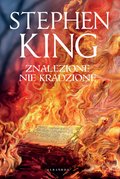 Znalezione nie kradzione - ebook