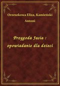 Przygoda Jasia : opowiadanie dla dzieci - ebook