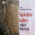 Sąsiednie kolory - audiobook