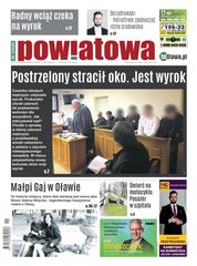 : Gazeta Powiatowa - Wiadomości Oławskie - e-wydania – 11/2024